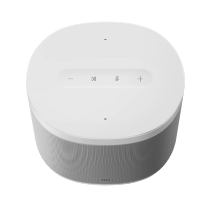 Mi Smart Speaker